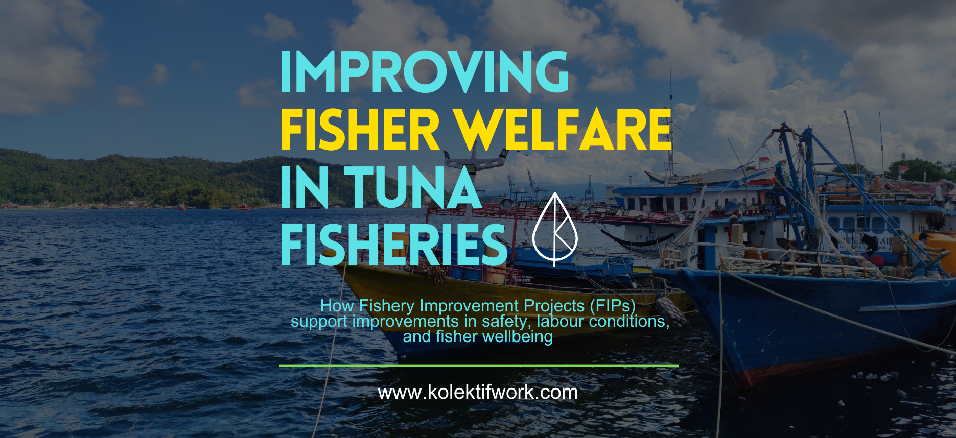 Tuna Fisher Welfare in Fishery Improvement Projects