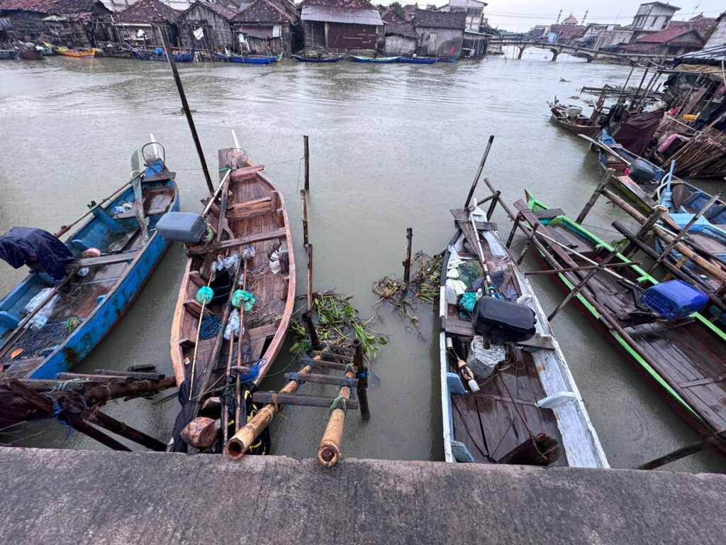 udang skala kecil